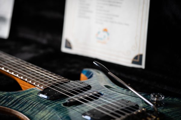 2023 PRS Modern Eagle V Wood Library - River Blue